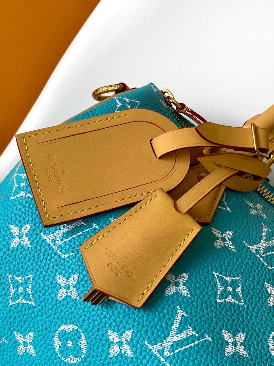 LV Speedy P9 25cm Bag - Image 7