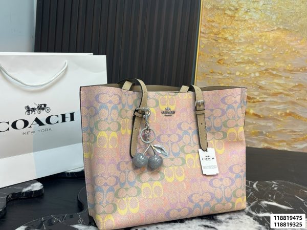 Coach Mollie Tote Bag