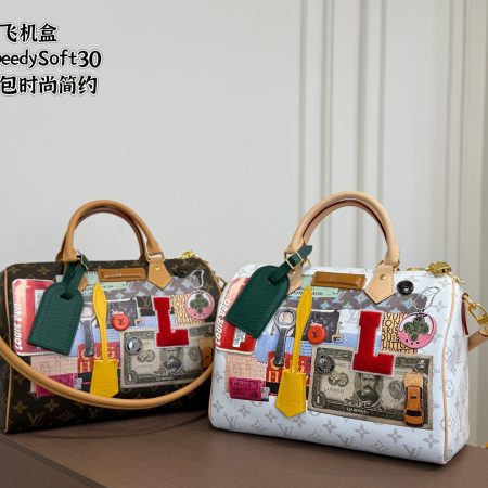 LV Speedy Soft 30 Pillow Case