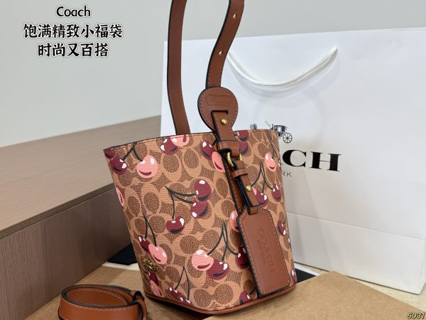Coach Mini Lucky Bag