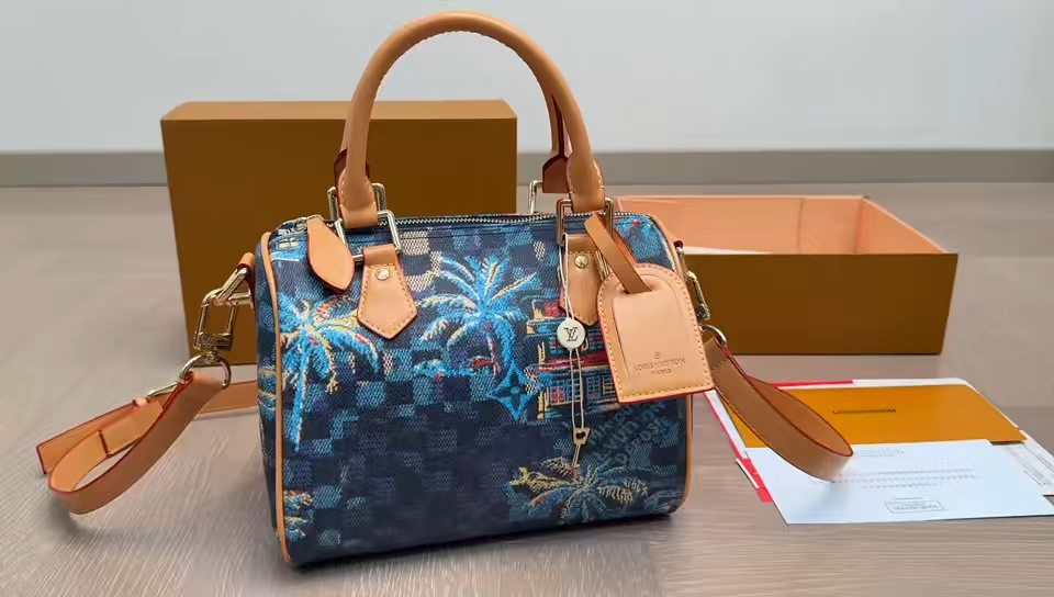LV Speedy Pillow Bag - Image 2