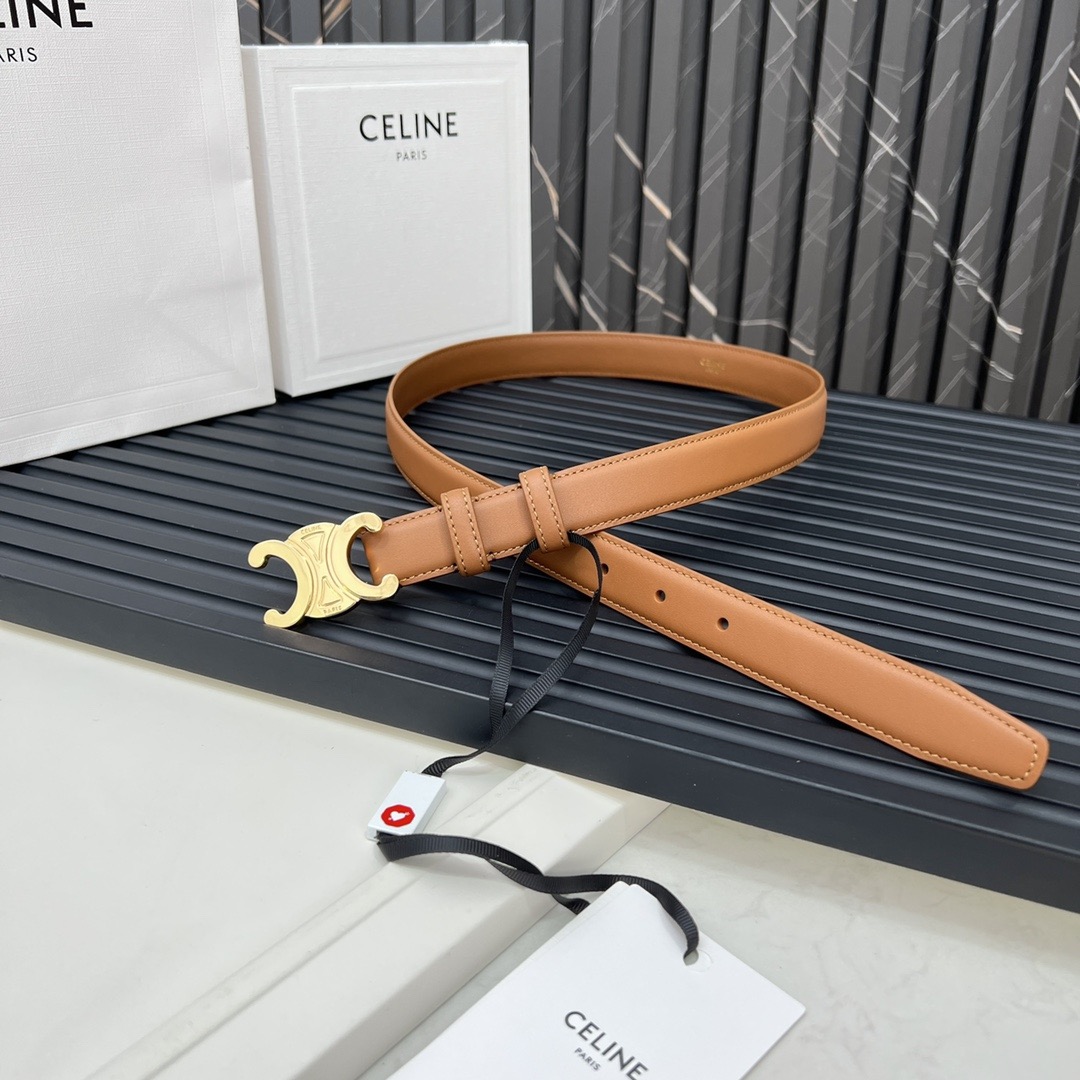Celine Medium 25MM Triomphe Belt - Image 7