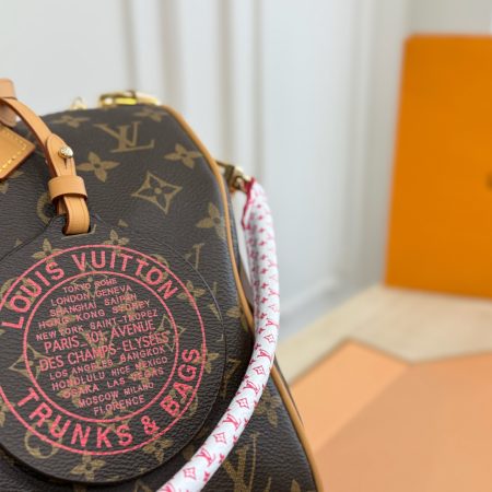 LV Speedy Soft Pillowcase - Image 8