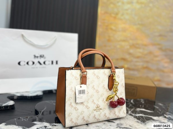 Coach Maggie Series Small Tote Bag
