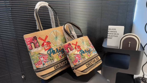 Dior Souvenir Travel Bag