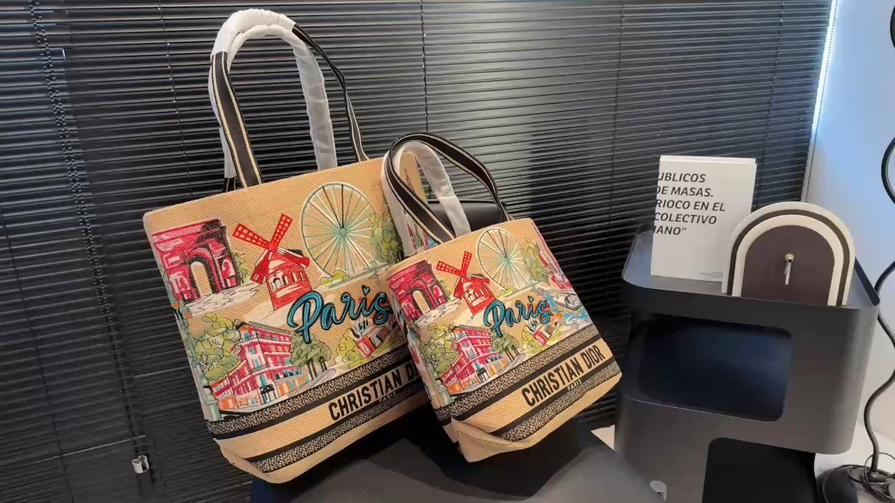 Dior Souvenir Travel Bag - Image 2