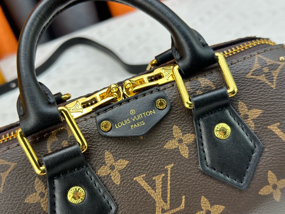 LV Speedy Trunk 20 Monogram Canvas Bag - Image 3