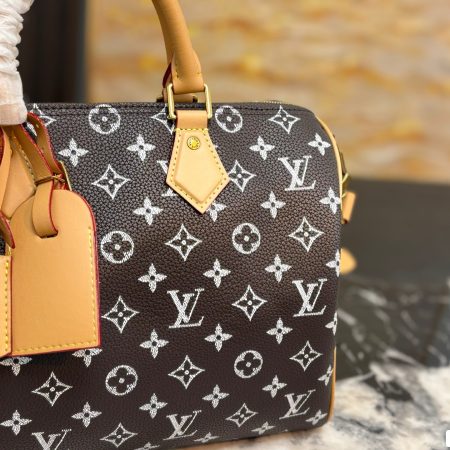 LV Speedy Pillow Bag - Image 8