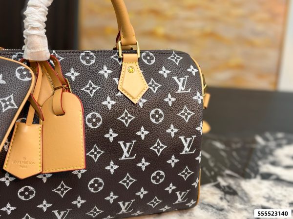 LV Speedy Pillow Bag