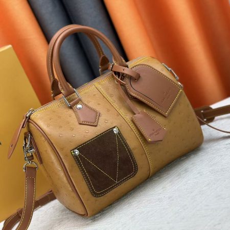 LV Speedy Bandoulière 20 Handbag