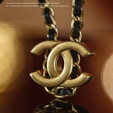 Chanel 26C Mini 25Bag Hobo - Image 4