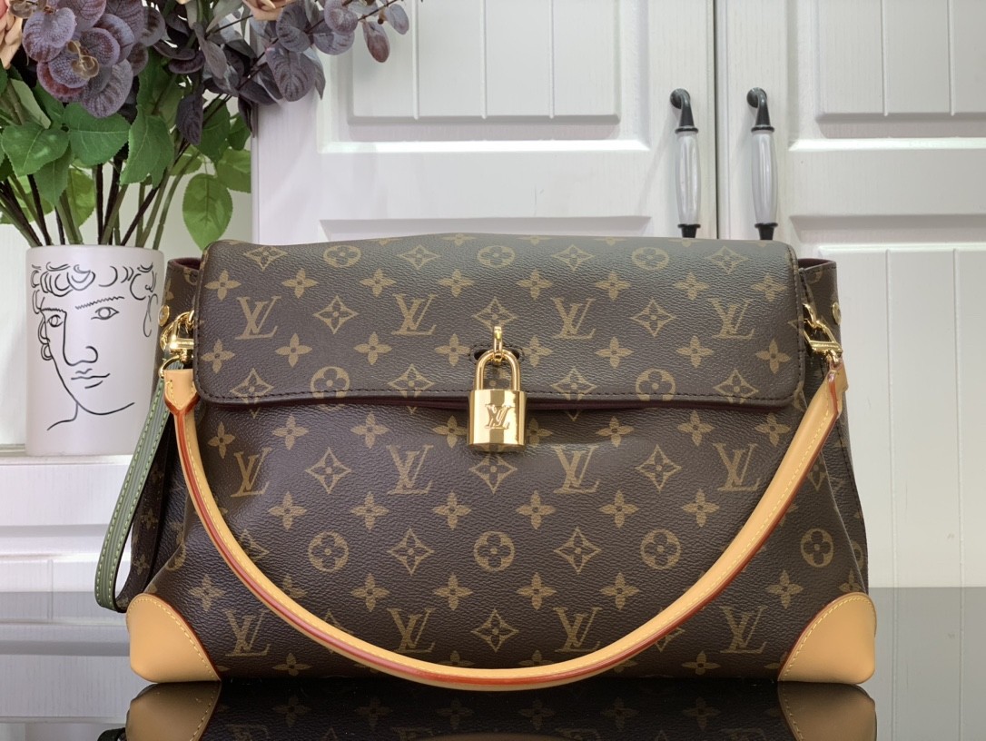 LV Hide Away MM Monogram Bag - Image 1