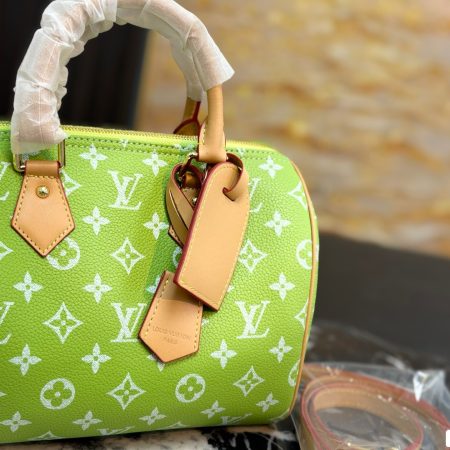 LV Speedy Pillow Bag - Image 12