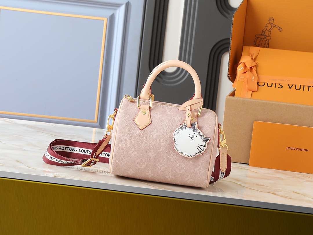 LV Speedy 20 Shoulder Bag - Image 1