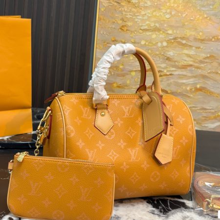 LV Speedy Pillow Bag - Image 10