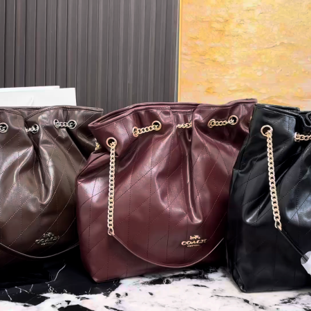 Coach Evelyn Chain Lucky Bag