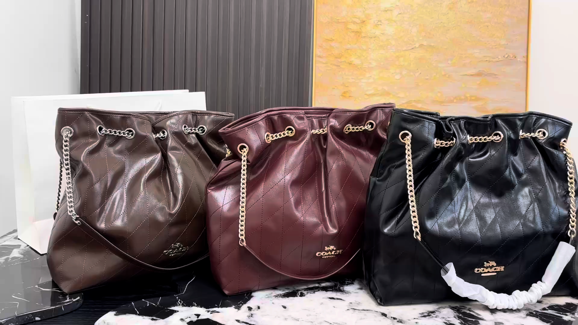 Coach Evelyn Chain Lucky Bag - Image 1