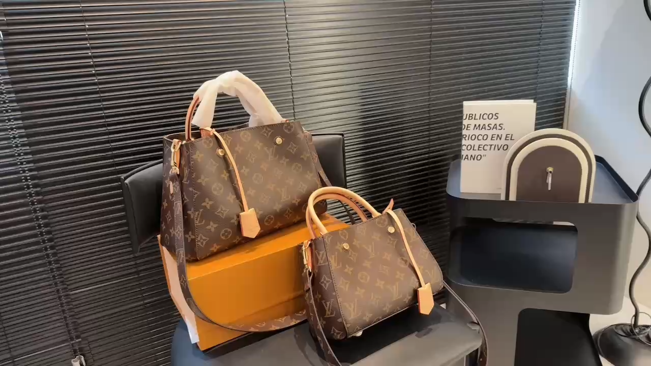 LV Montagne Bag - Image 2