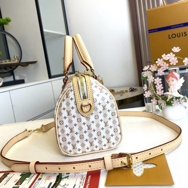 LV Speedy Bandoulière 20 Pillow Bag