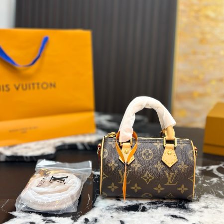 LV Speedy Pillow Bag