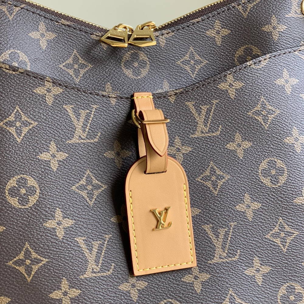 LV Odeon Large Bag - Image 3