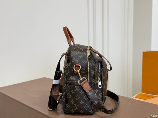 LV's New Backpack