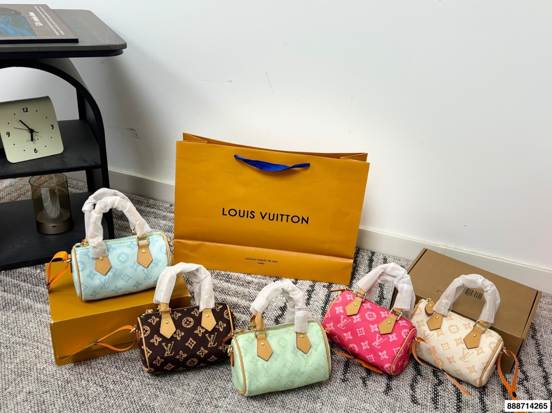 LV Speedy Denim Bag - Image 1