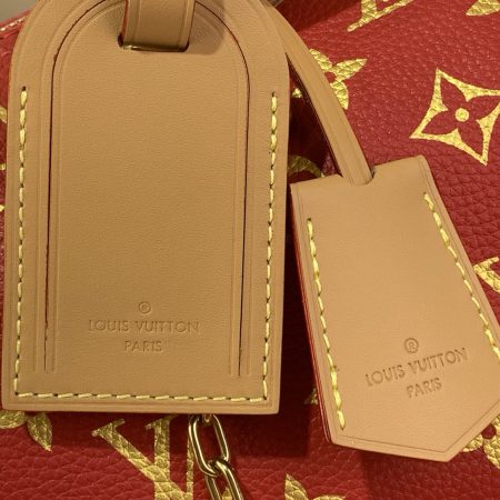 LV Speedy P9 Bandoulière 30 Bag - Image 6