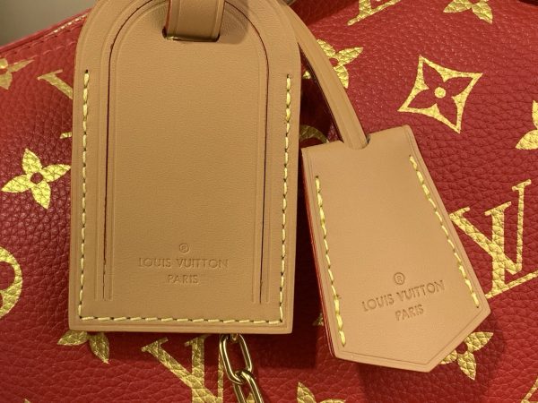 LV Speedy P9 Bandoulière 30 Bag