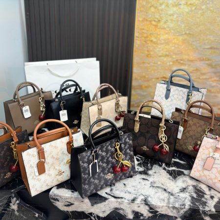 Coach Maggie Series Small Tote Bag