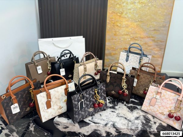 Coach Maggie Series Small Tote Bag