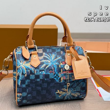 LV Speedy Pillow Bag